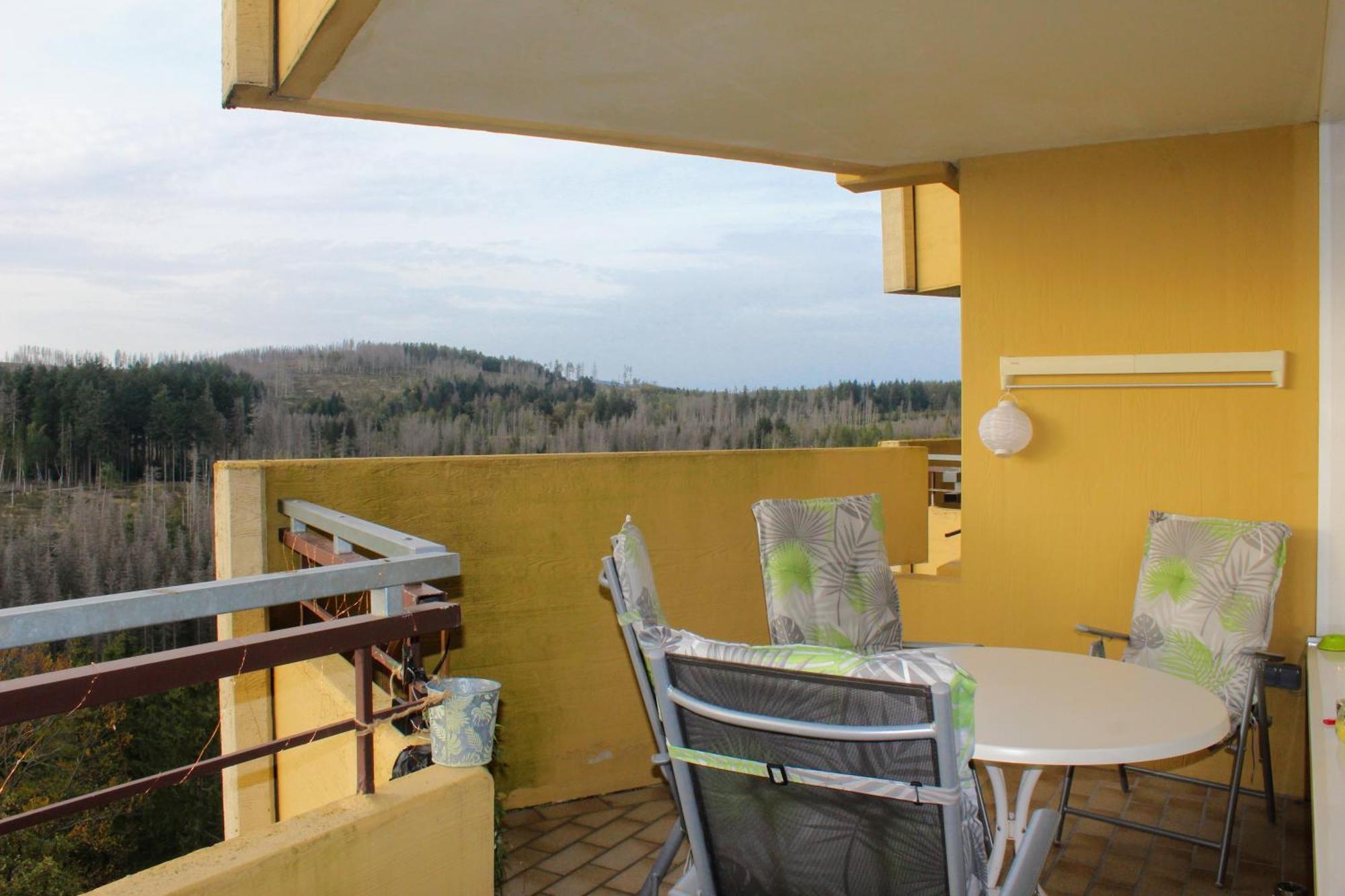 Apartment Ky481 Im Panoramic Hohegeiß Exteriér fotografie